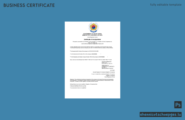 Beispielansicht eines südkoreanischen Gewerbeanmeldungszertifikats (Word und PDF)